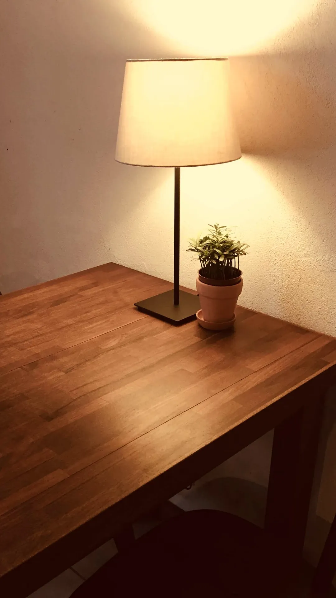 Table lamp with a white drum shade glowing over a dark wood desk with a small potted plant