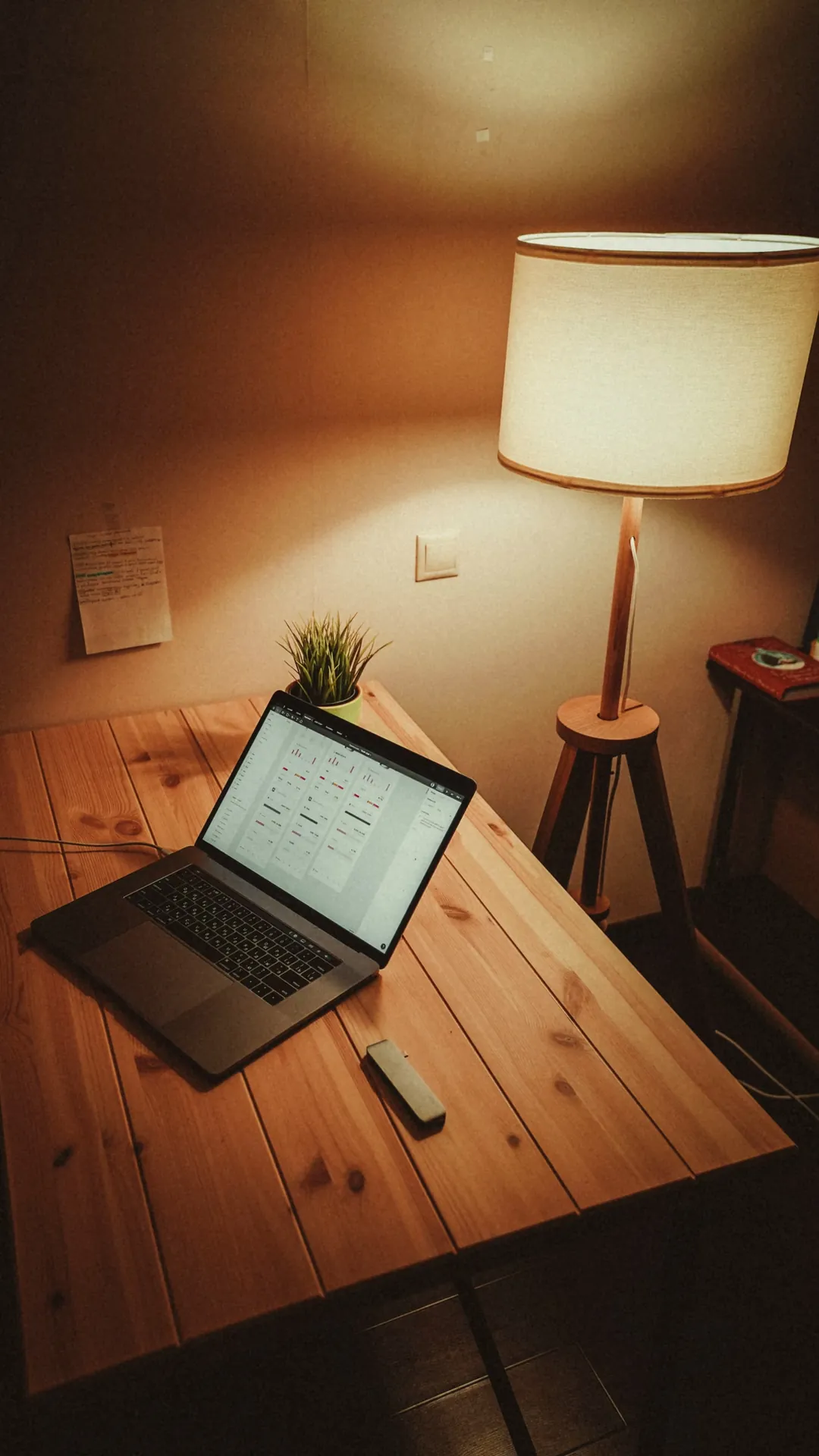 Laptop and a small plant on a pine desk lit by a floor lamp with a white shade